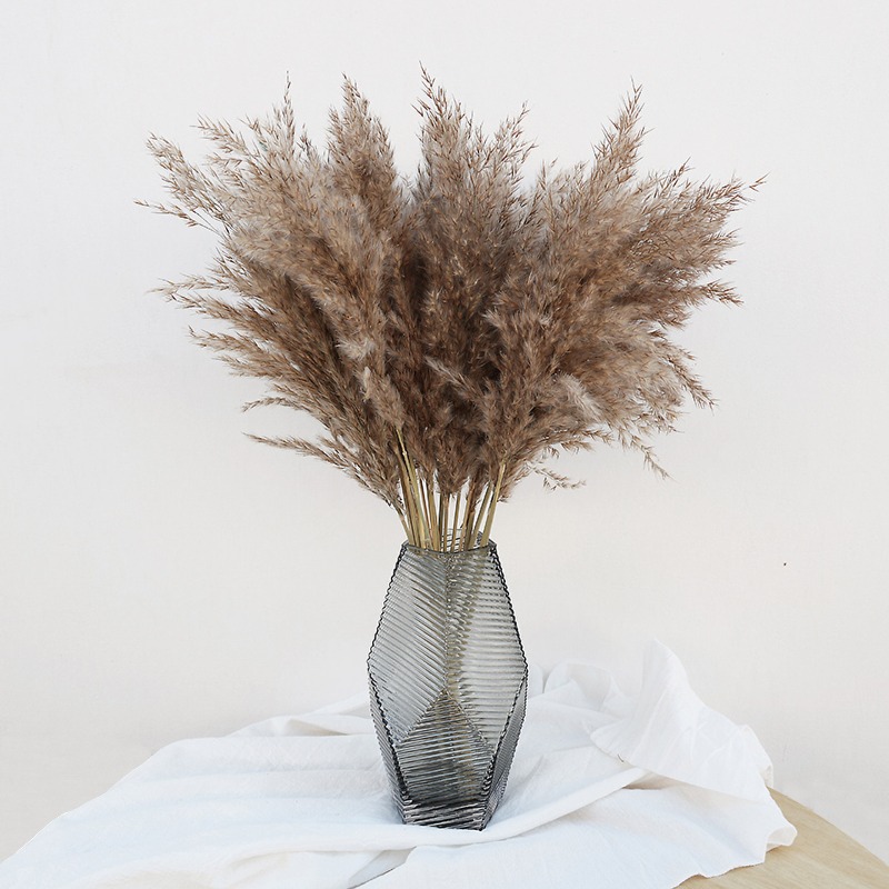 Florist Supply Vases - 10 قطع من أعشاب البامباس الطبيعية