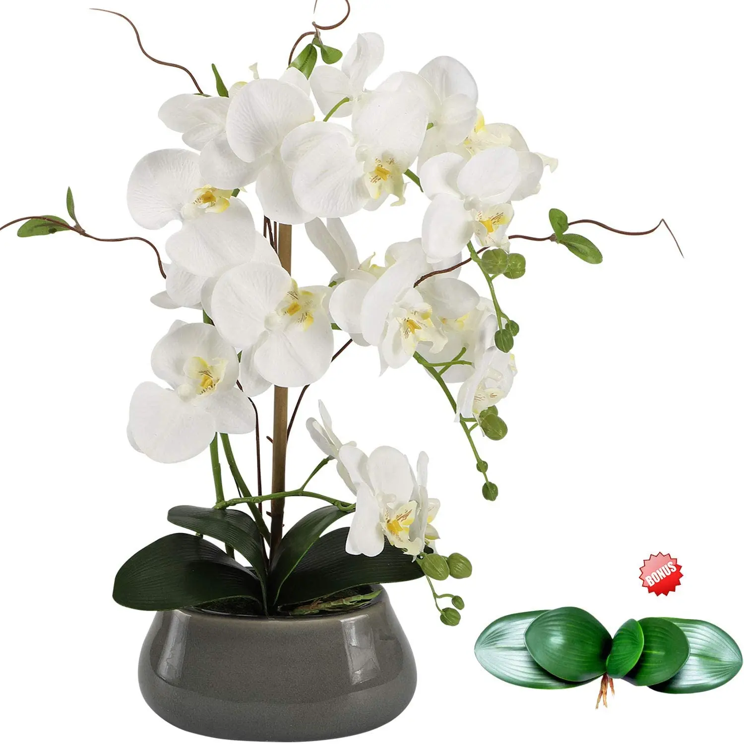 زهور الأوركيد الاصطناعية المرك - مراجعة Florist Supply Vases وسعره