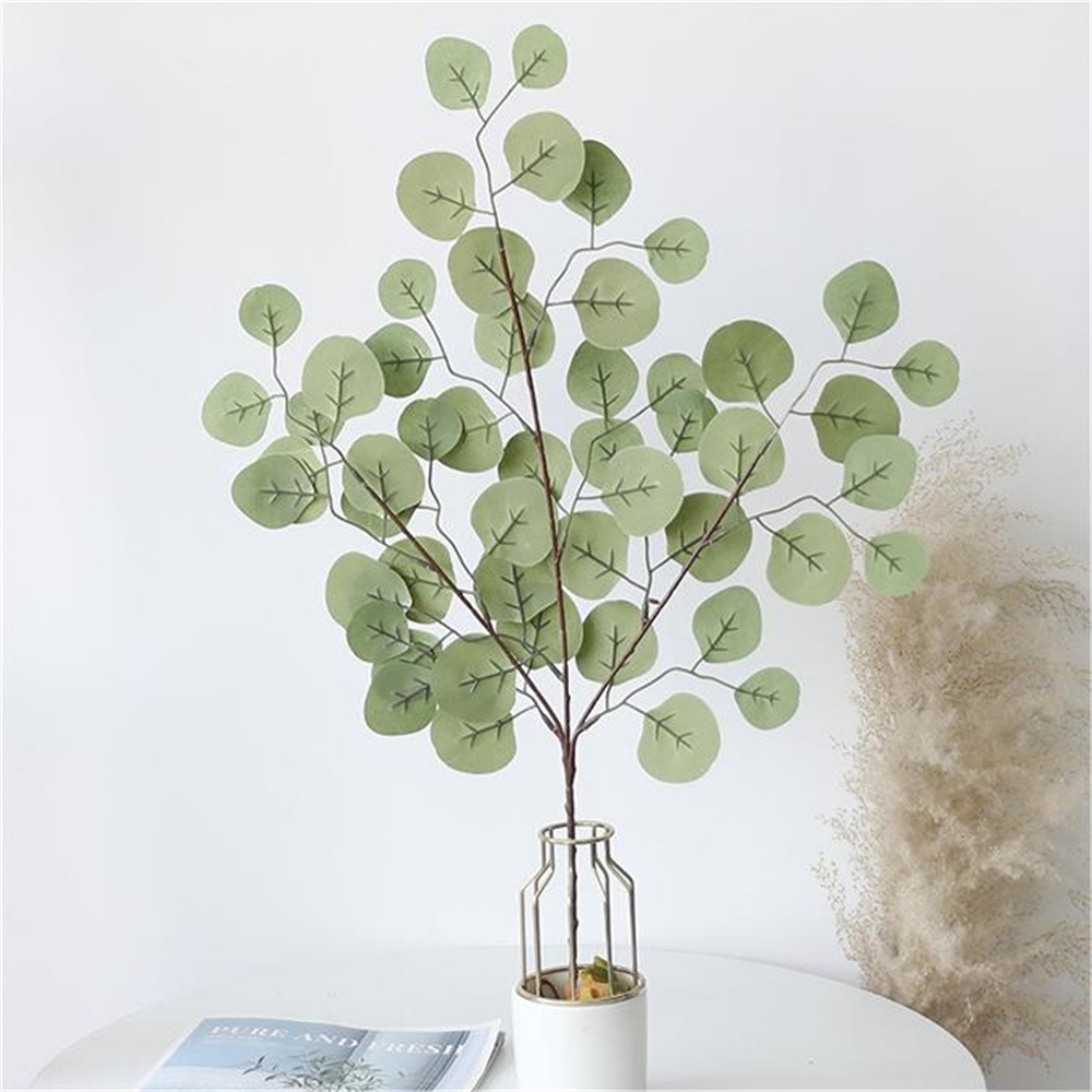 أوراق الكافور الكرمة النباتات  - مراجعة Florist Supply Vases وسعره