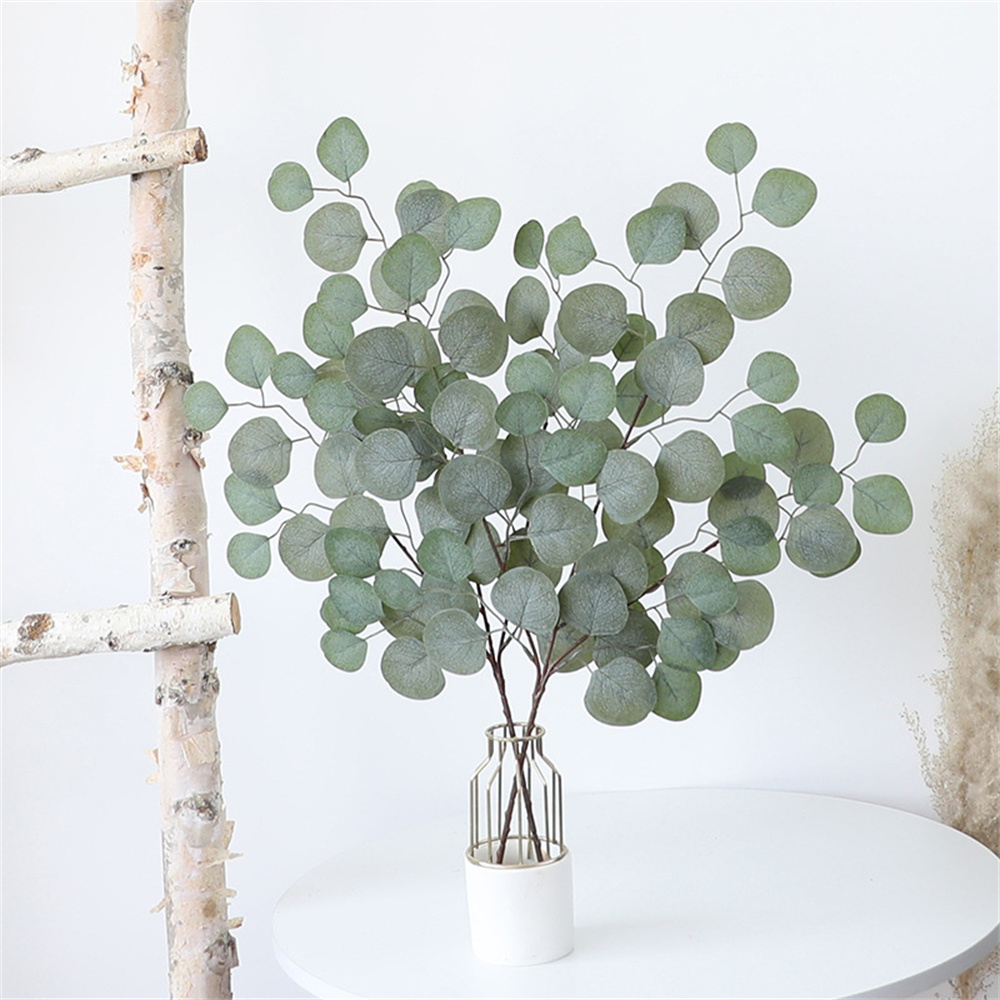 أوراق الكافور الكرمة النباتات  - مراجعة Florist Supply Vases وسعره