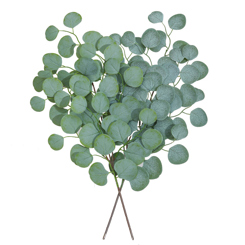 أوراق الكافور الكرمة النباتات  - مراجعة Florist Supply Vases وسعره