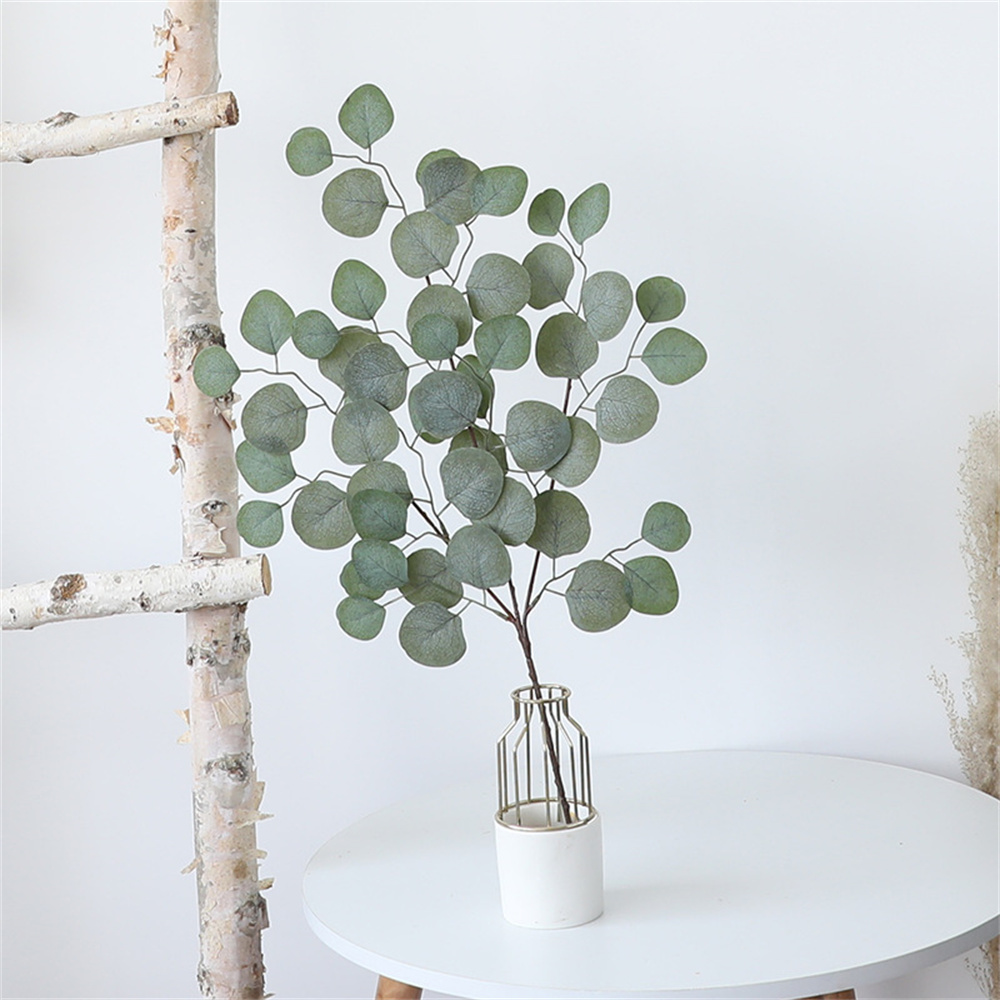 أوراق الكافور الكرمة النباتات  - مراجعة Florist Supply Vases وسعره