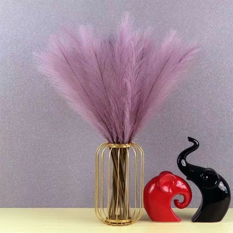 عشب أبهى صناعي ، فروع بومباس ، - مراجعة Florist Supply Vases وسعره